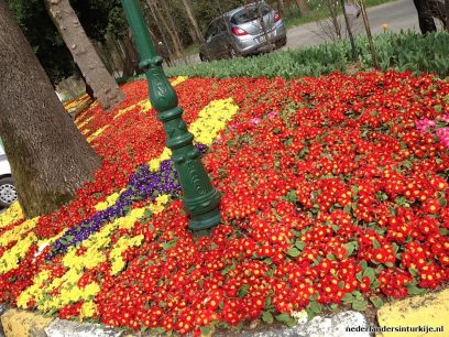 bloemen en tulpenfestival istanbul 2012 bloemen en tulpenfestival istanbul 2012