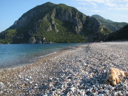 Strand  van Çıralı naar Olympos (Wikimedia)